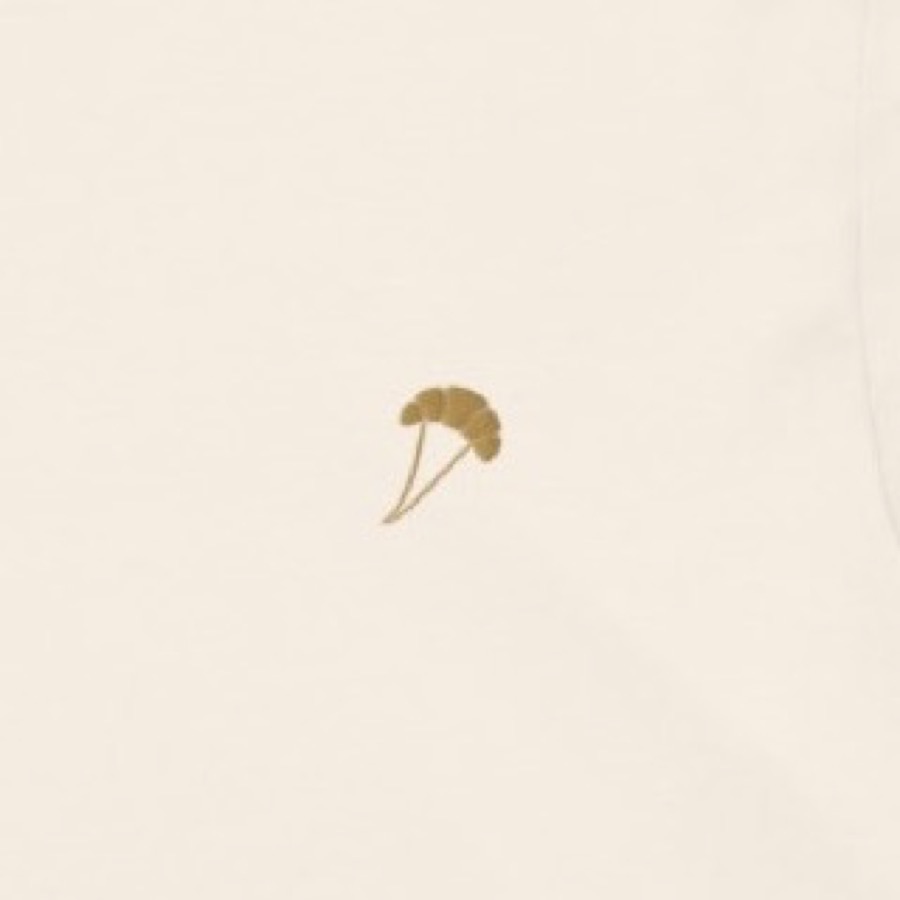 La broderie du croissant, de près
